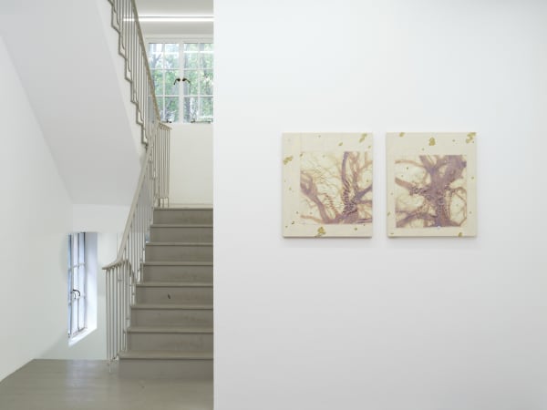 Wenjie Yu｜The Rite of Spring