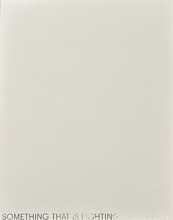 Robert Barry, Something that is fighting for it's life, 2013 - 2014