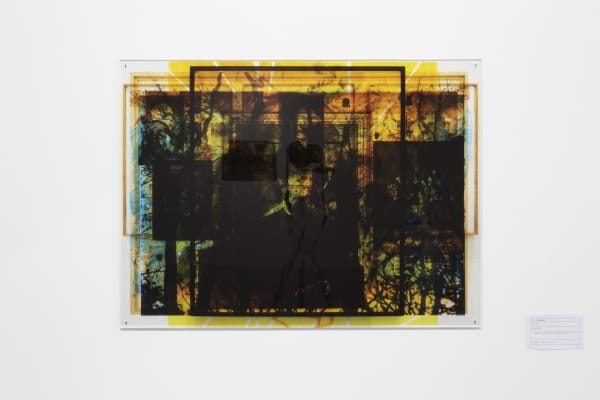 Damien Dion & Hubert Renard, Surexposées I, 2024