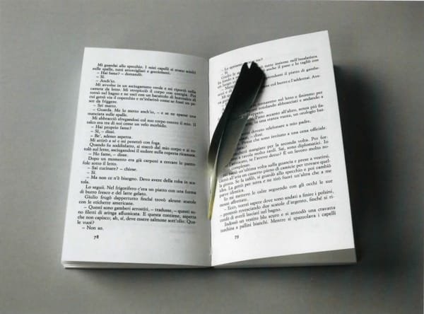 Hans-Peter Feldmann, Book with plume