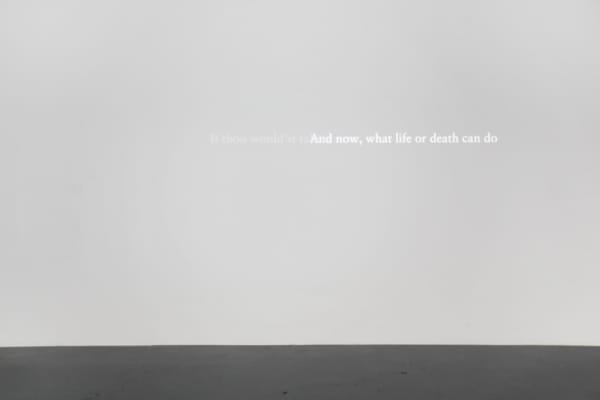 Detanico Lain, Now / Emilie Dickinson, 2015