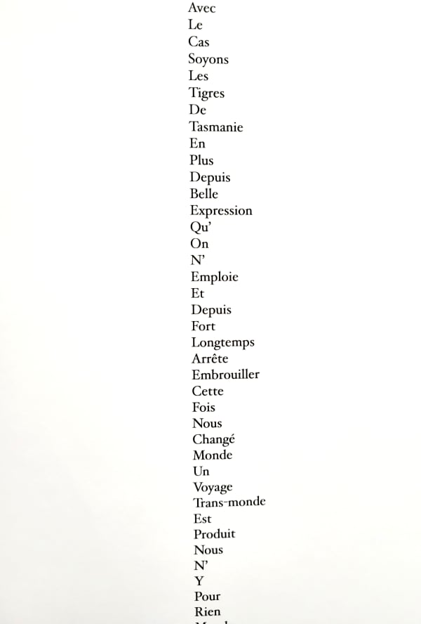 Jacques Roubaud Chance 2, 2022