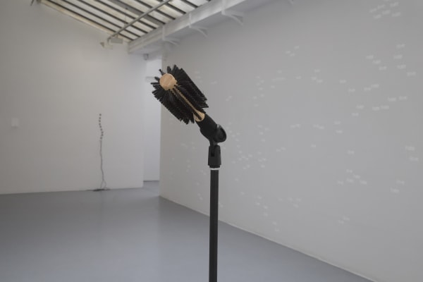 Ceal Floyer, Solo, 2006