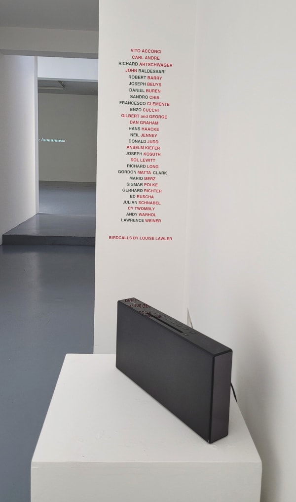 Louise Lawler Birdcalls, 1972 - 1981