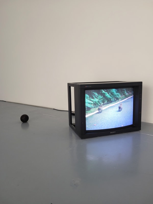 Daniel Gustav Cramer Two Monkeys, 2009