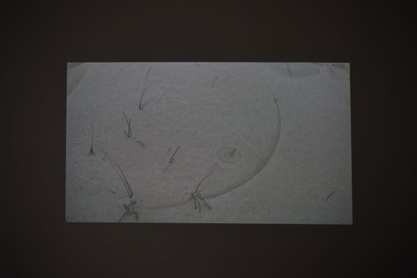 Ismail Bahri Des gestes déposés dans un paysage agité, 2018