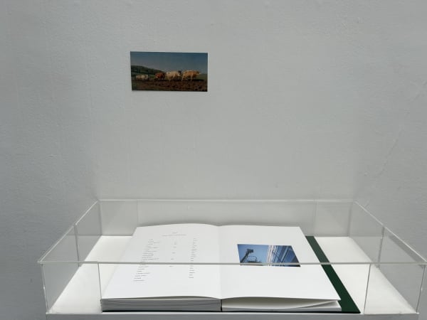 Dominique Gonzalez-Foerster, Londres (London) aller, retour, 2015