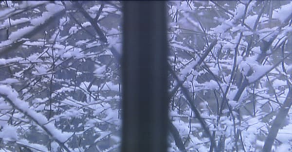 Les tiroirs du temps