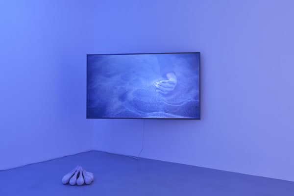 Liquid Connections, 2021, video installation in 4k resolution, two channels, 16: 9, color, sound, English, 15'42 ''