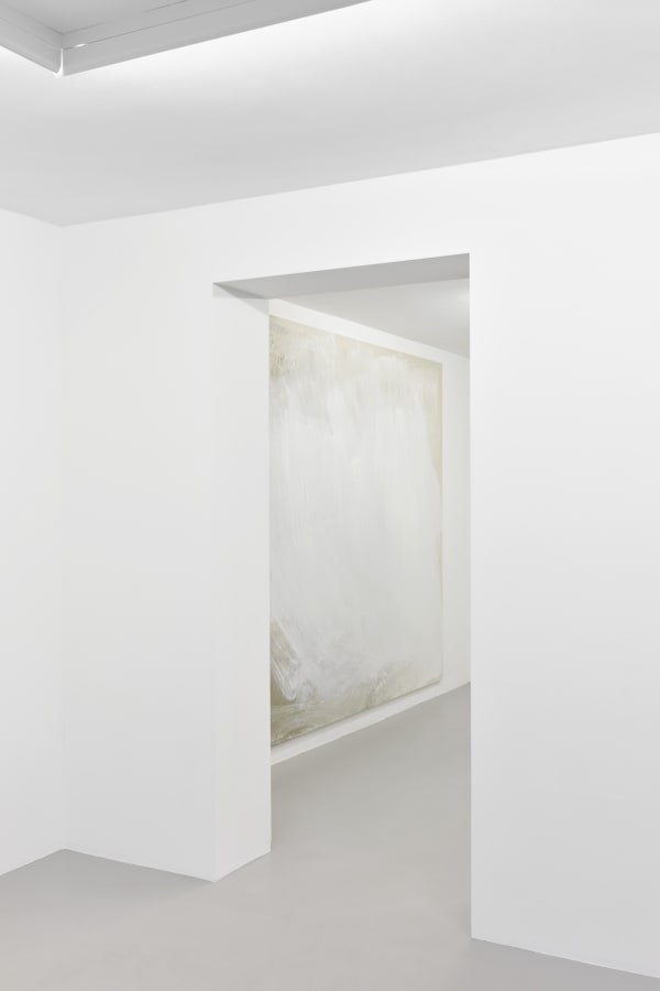 Françoise, 2015, acrylic on canvas, 230 x 280 cm