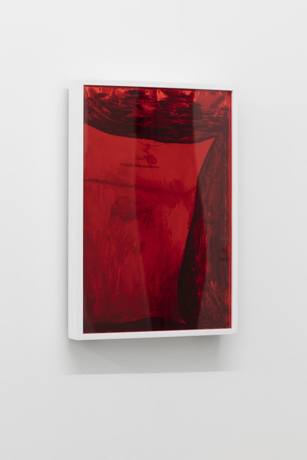 'WHAT DO YOU REPRESENT?', 2019, solvent transfer and watercolor on one-way reflective window film, 44 x 31 x 6 cm