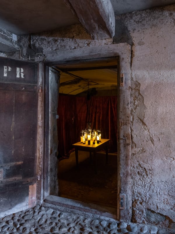 Trunfa, 2019, glass, humus, fibers, epoxy, human hair, animal hair, wire, cable, lamp, dimensions variable