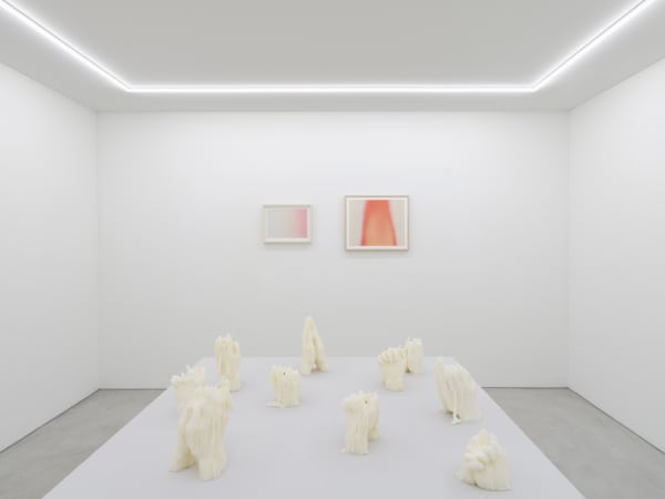 Works on paper, each, Drawing for Glowing Hour, 2023, oil on paper, various sizes In dialogue with sculptures, each, Look at This Unbearable Darkness, 2024, wax, various dimensions