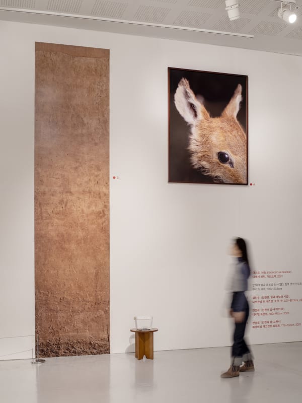 Installation view: Art and Archaeology, Jeongok Prehistory Museum, 2021. Courtesy of Jeongok Prehistory Museum