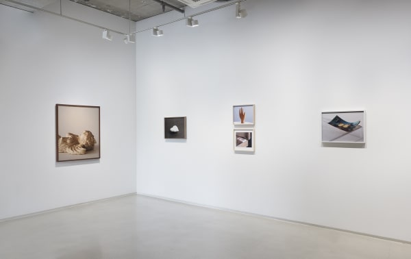 Installation view: Pibi Link, Pibi Gallery, 2021. Courtesy of Pibi Gallery