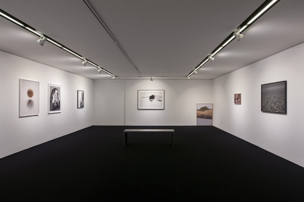Installation view: Winter in My Arms, Perigee Gallery, 2022. Courtesy of Perigee Gallery