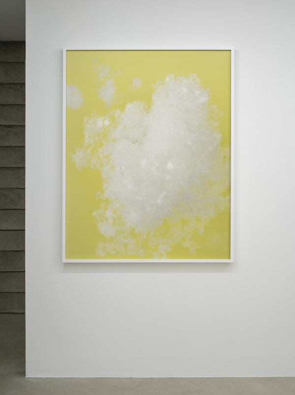 Installation view: Skin and Skeleton, Primary Practice, 2023. Courtesy of Primary Practice