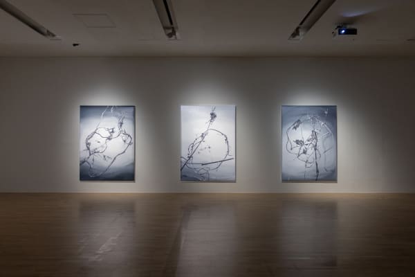 Installation view: Anthologia: Ten Enchanting Spells, Buk Seoul Museum of Art, 2023