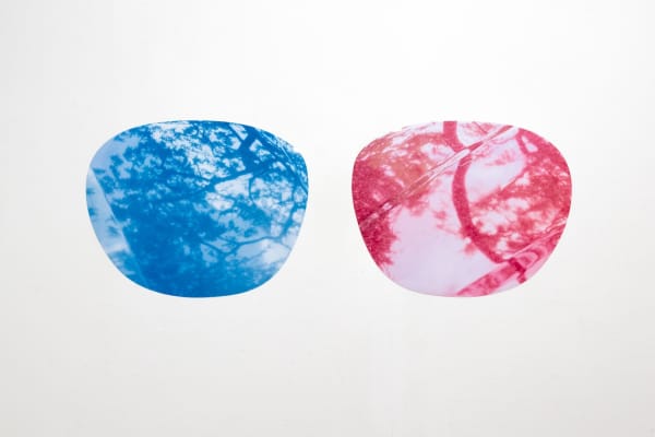 Glasses, 2019, archival pigment print, 50.8 x 41 cm each, 2pieces