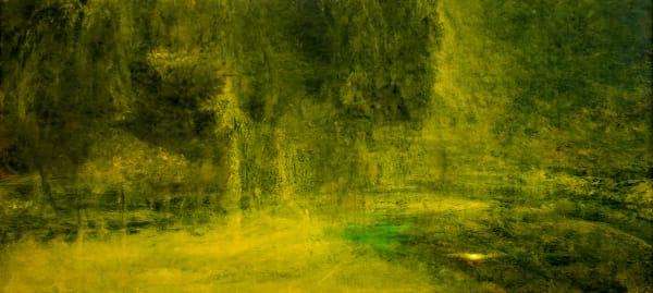 Untitled, 2022, oil on gesso classic, 55 x 119 cm