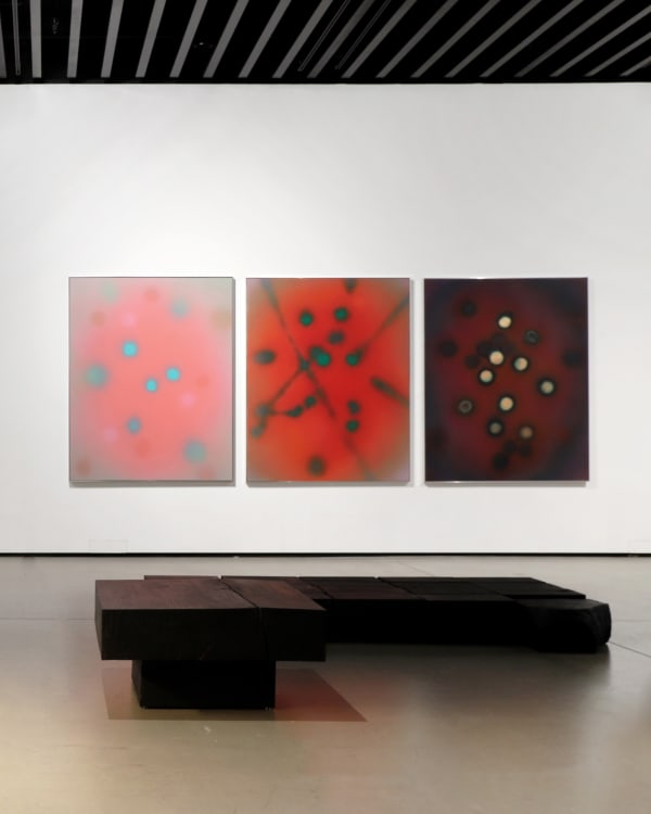 Installation view: Metamorphosis, Kim Chong Yung Museum, 2024