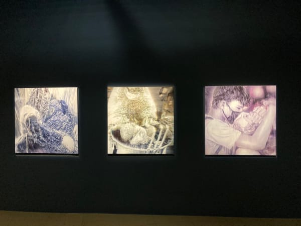 Installation view: Fantasy, Seongnam Cube Museum of Art, 2021