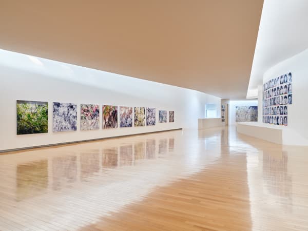 Installation view: Mimesis AP6_Sign, Mimesis Art Museum, 2023. Curtesy of Artist and Mimesis Art Museum, Photo by Lim Jang Hwal