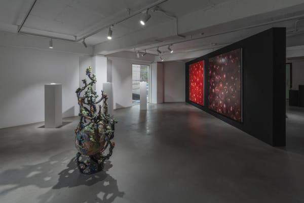 Installation view: Shine That Eternal Silence Upon Us, Geomang Creative Studio, 2023