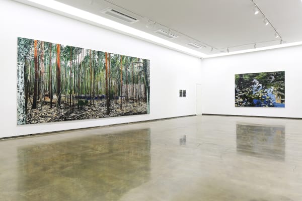 Installation view: Luftwald, Gallery Baton, 2017