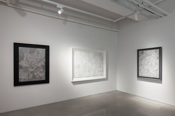 Installation view: Finding Scale, Iah Seoul, 2022