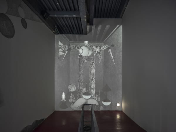 Installation view: The Wanderer, Commissioned by the 14th Gwangju Biennale, supported by Arario Gallery, 2023, Courtesy the artist and Gwangju Biennale Foundation, Photo by glimworkers