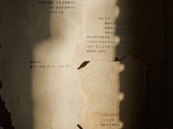 Southpaw, 2023, mixed media, 13min (loop), commissioned by Seoul Museum of Art