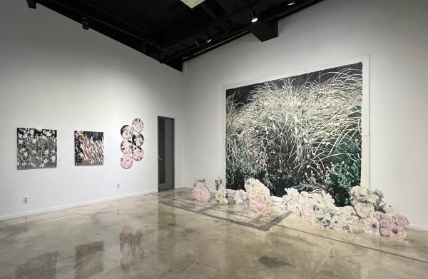 Installation view: Some Thoughts on the Common Toad, Gallery Saem, 2023