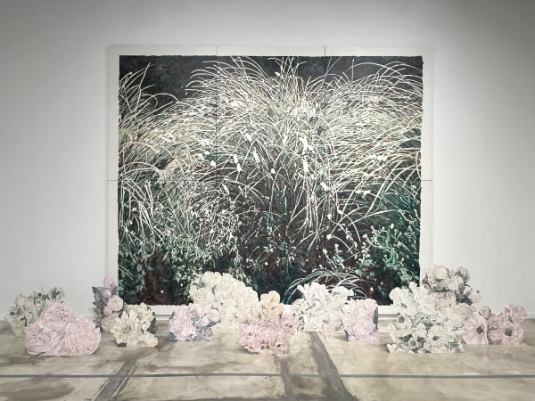 Installation view: Some Thoughts on the Common Toad, Gallery Saem, 2023