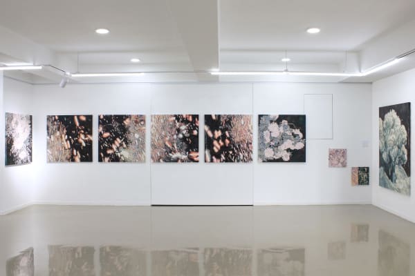 Installation view: Emptied Landscape, Artspace0, 2022