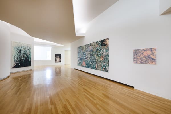 Installation view: MIMESIS AP6: Face, Mimesis Museum of Art, 2024