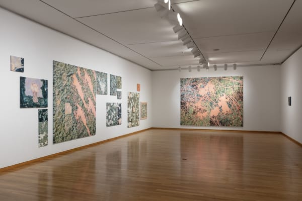 Installation view: The Gaze in the Smoke, Kumho Museum of Art, 2024