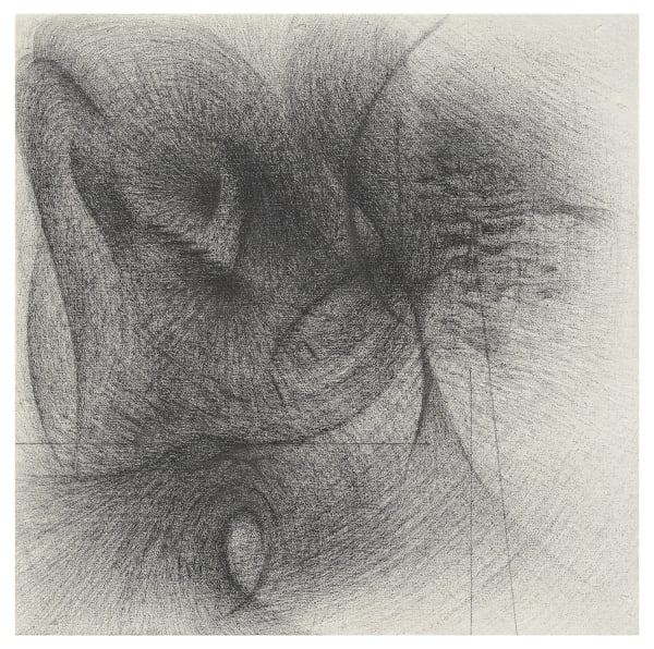 Study of Skull, 2023, gouache, graphite on canvas, 30 x 30 cm