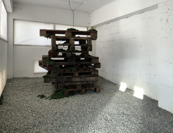 이끼가 자란다2, 2021, mixed media, dimensions variable