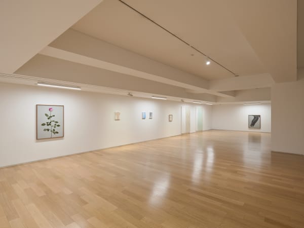 Installation view: The Images, Hite Collection, 2023
