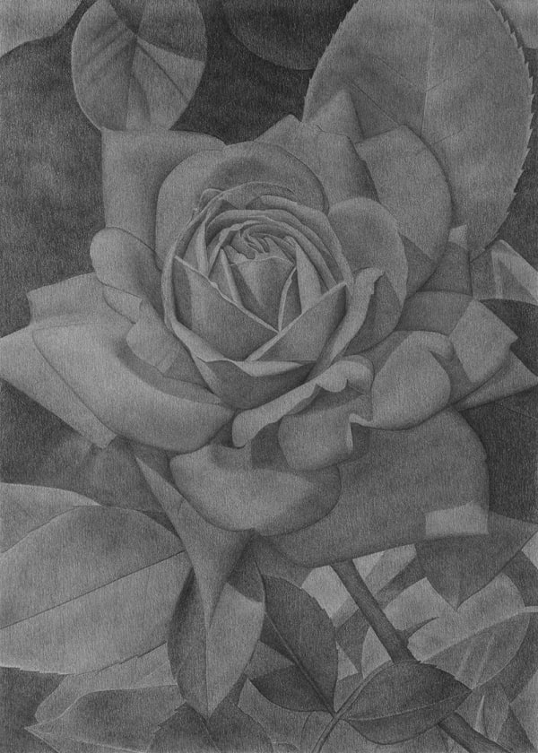 Gim Duk Hoon, You Know Nothing, 2021