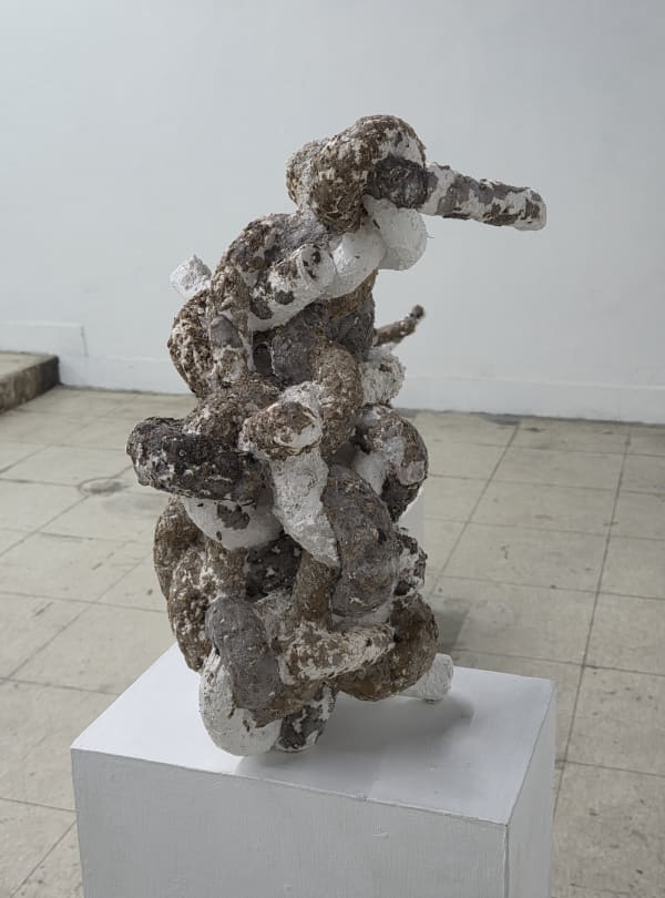 Byun Chae Young , Bone