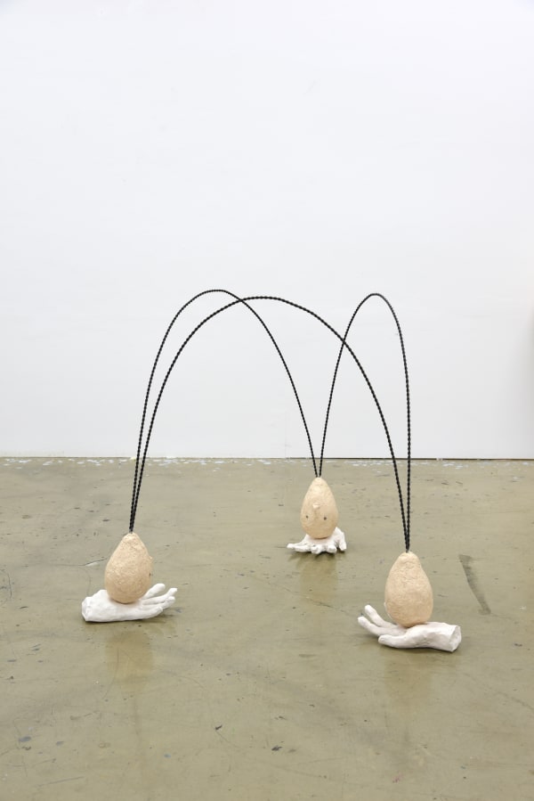 Kim Nam Hyeon, Cross Tolerance, 2017