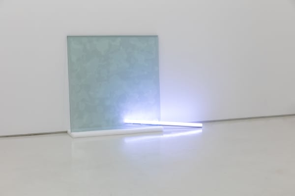 홍장오, 투명한 위장 - 라이트, 2019