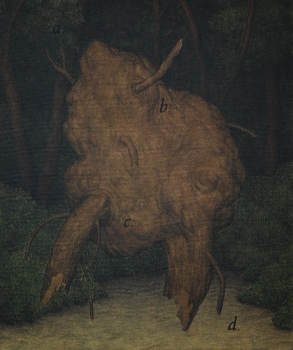 이재석, 형체_2, 2022