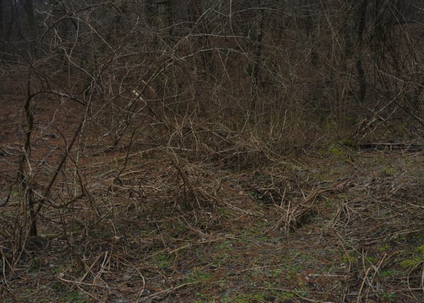 Chung Hee Seung, Reflection, 2024