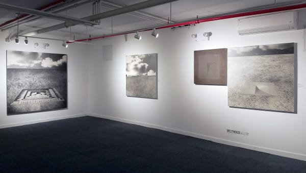 Installation view of 2018 exhibition Will Insley: Mythological Elsewhere at Westwood Gallery NYC, New York