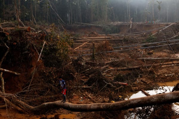 A man stands on a fallen tree in the illegal mining city of Lamal