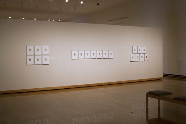 Installation view of multiple small size framed polaroid pictures installed in clusters