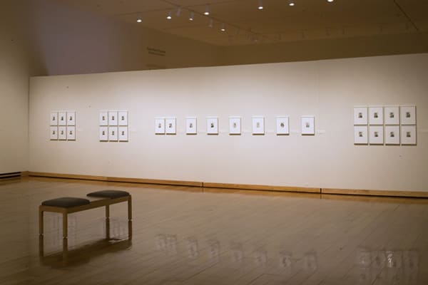 Installation view of multiple small size framed polaroid pictures installed in clusters